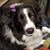 Sarah Hadley's profile image