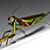 Phaino Josef's profile image