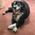 Robin Farrar Strycker's profile image
