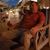Jerry Daniels's profile image