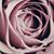 Sheila Latimer's profile image