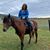 Janet Paulick Costantino's profile image