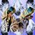 Sherie Bante's profile image