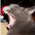 Maria DiNapoli's profile image