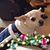 Holly Mursch's profile image