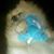 Josephine Darugar's profile image