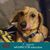 Penny Wilson's profile image
