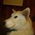 John G Horner's profile image