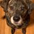 Jaime Heveron's profile image