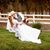 Amie Fenley's profile image