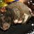 Brandi Morales's profile image
