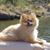 Pamela Ann Greig-Pike's profile image