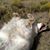 Rusty Schakleford's profile image