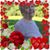 Sarah N. Rooney's profile image