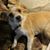 Ruth Lubbess's profile image