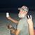 Mike Muirhead's profile image