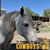 Susan Olson's profile image