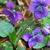 Mindy Ferris Beckner's profile image