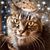 Joanne Risch's profile image
