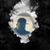 Tommy Miller's profile image