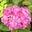 Keiko Kasper's profile image