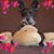 Terri Bridger's profile image