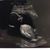 Jayden Andrew Fink's profile image