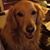 Rosalee Schroeder's profile image