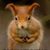Carolann Lotsey's profile image