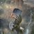 Bill Edward Cowden's profile image