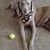 Diane Slagle's profile image