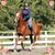Madelyn Baasch's profile image