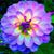 Telina Gail Graham's profile image
