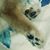 Nicole Grunow-Haring's profile image