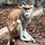 Darren Jacob's profile image