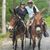 Connie Nicholson-Price's profile image