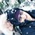 Debbie Vongrey's profile image