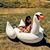 Emily Leung's profile image