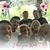 Donna Sadowski's profile image