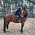 Hilary Marusak's profile image