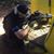 Jose A. Pulgar's profile image