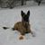 Carol Aulick's profile image