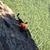 Sy Nex's profile image