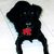 Sandy Nelson's profile image
