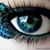 Sara Baloch's profile image