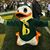 Steve Mayfield's profile image