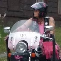 Mary Donlon's profile image