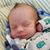 Rebecca Abner Carter's profile image