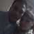 Alejandra Jimmy Monzon Z's profile image