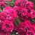 Cathi Potter's profile image